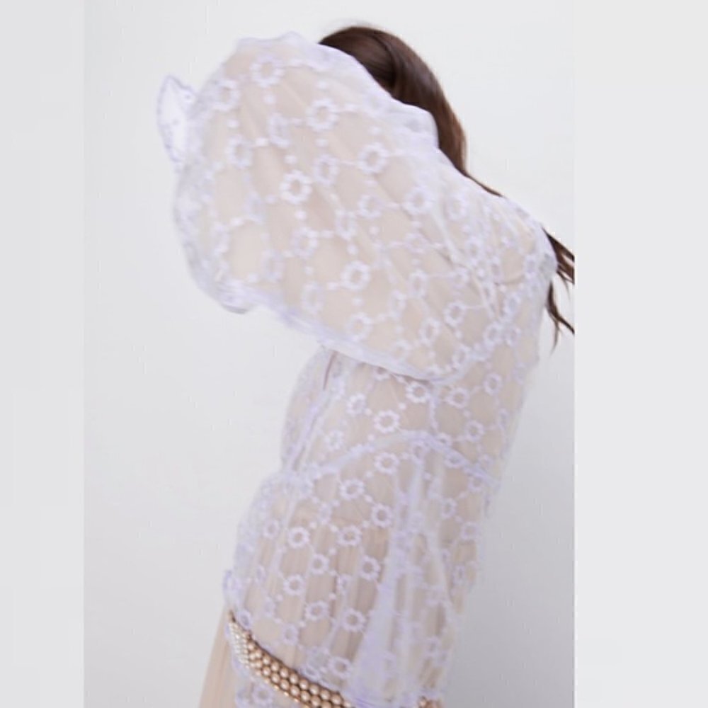 NWT Zara Embroidered Sheer Blouse